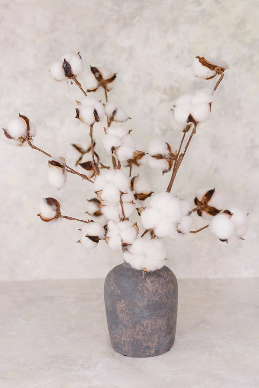 Life-Like Cotton Stems | Set of 3