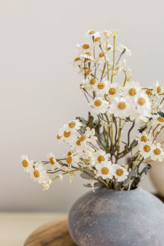 Dried-Look Feverfew | Set of 3