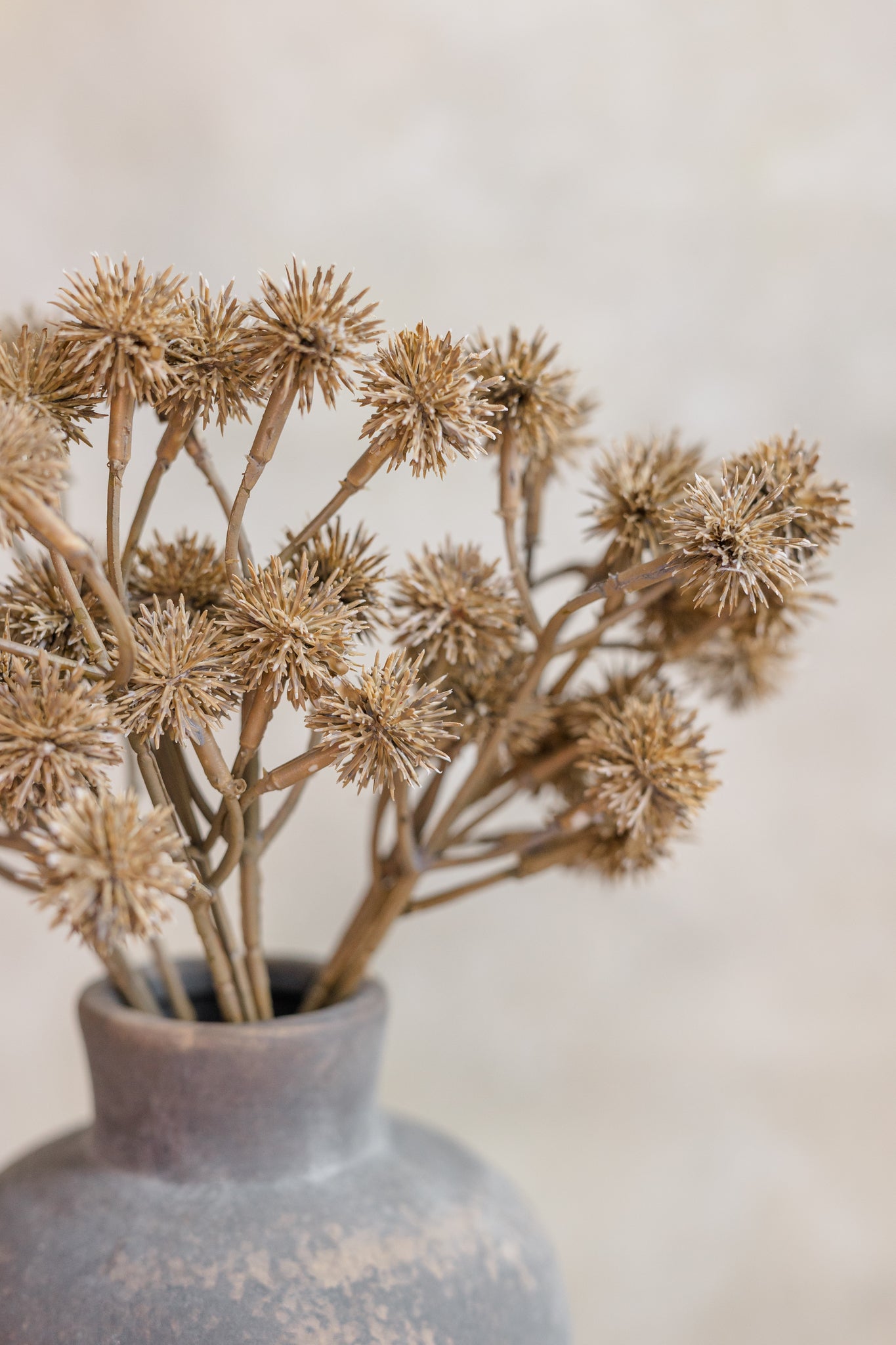 Globe Thistle | Set of 3