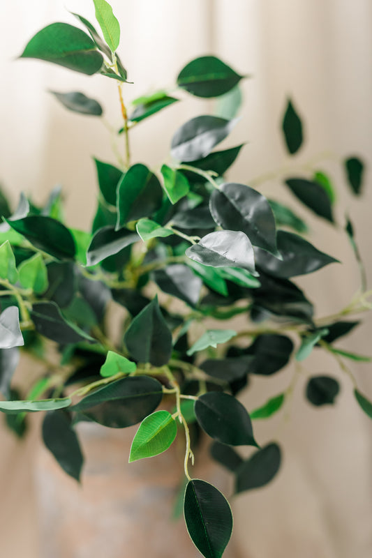 Banyan Leaf Stem | Set of 3