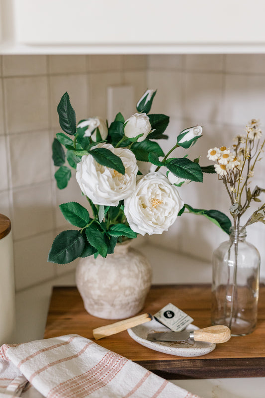 Cabbage Rose | Set of 3