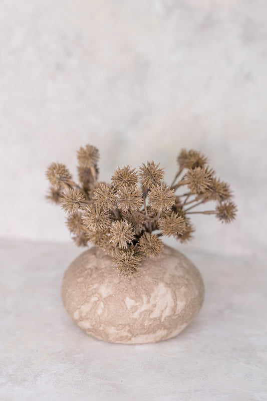 Globe Thistle | Set of 3