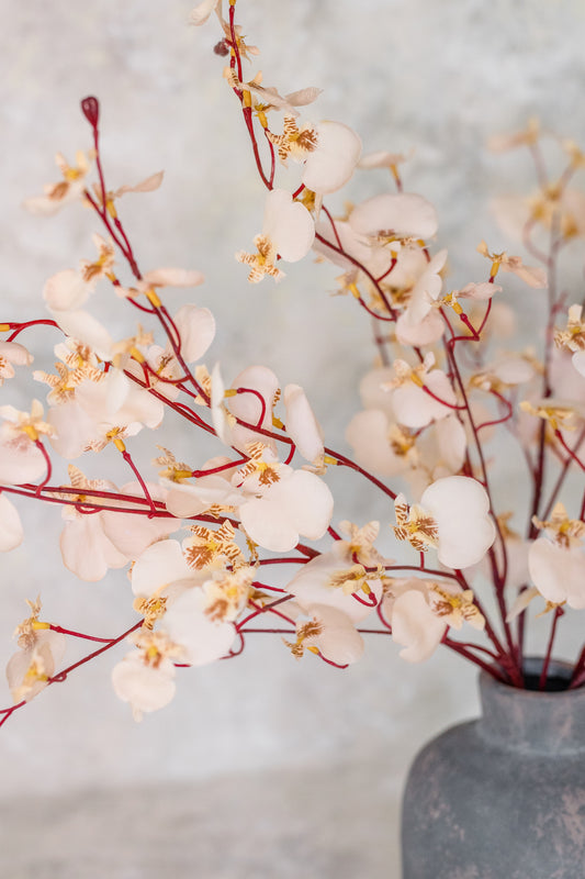 Dancing Orchid | Set of 3