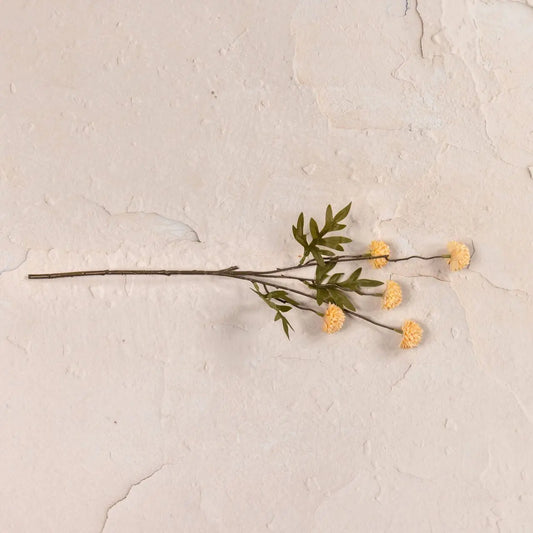 Peach Onion Spray | Set of 3 Stems