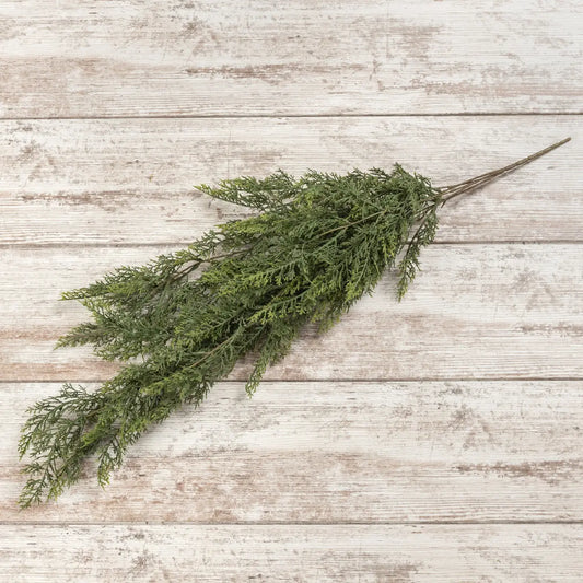 Red Cedar Hanging Bush
