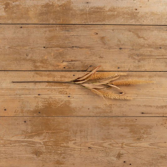 Sienna Bristlegrass Spray | Set of 3 Stems