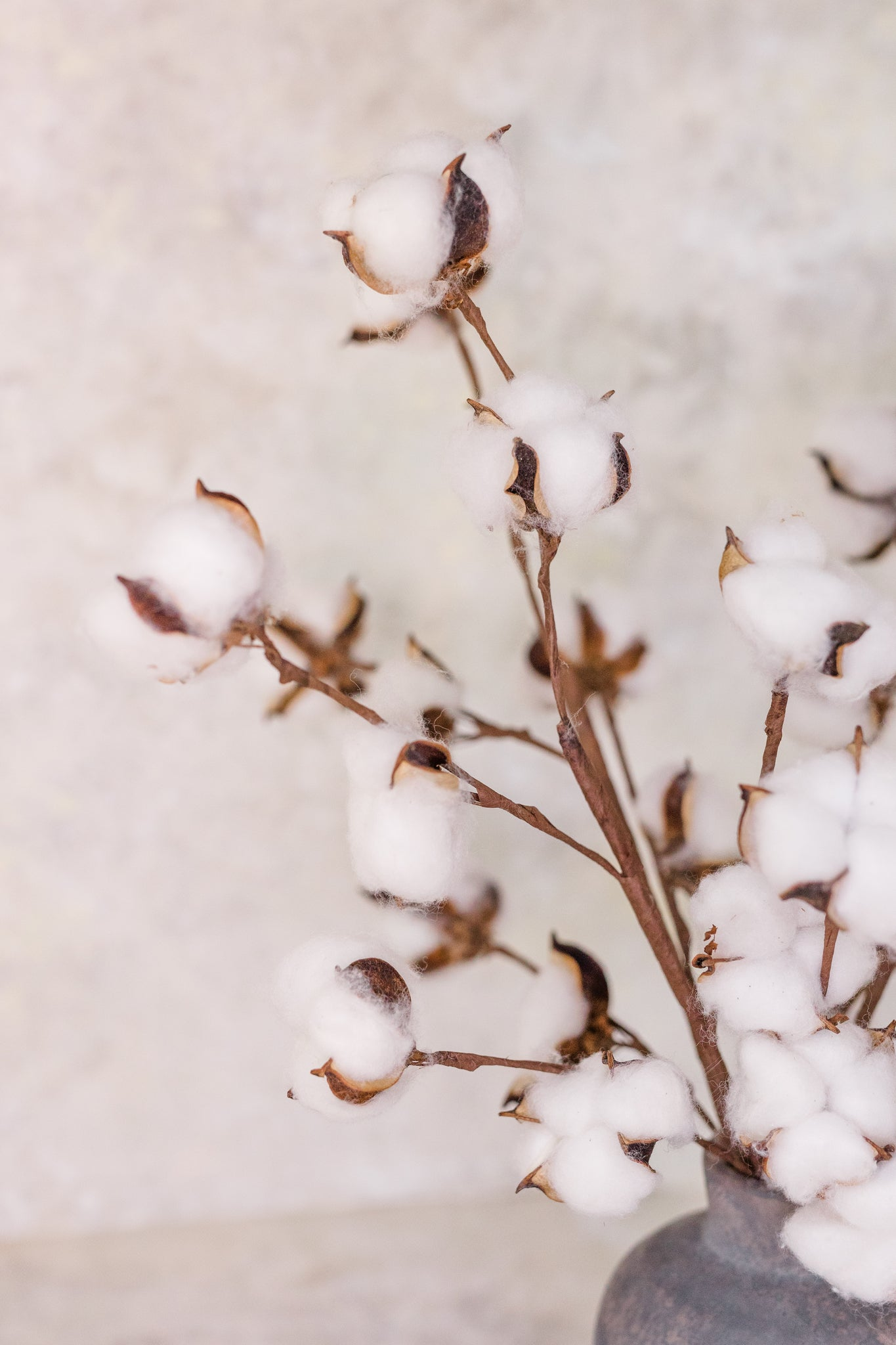Stems