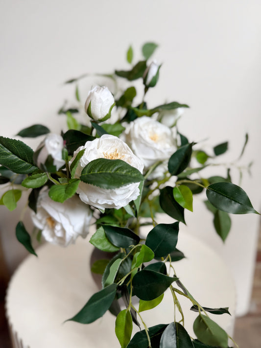 Timeless Rose