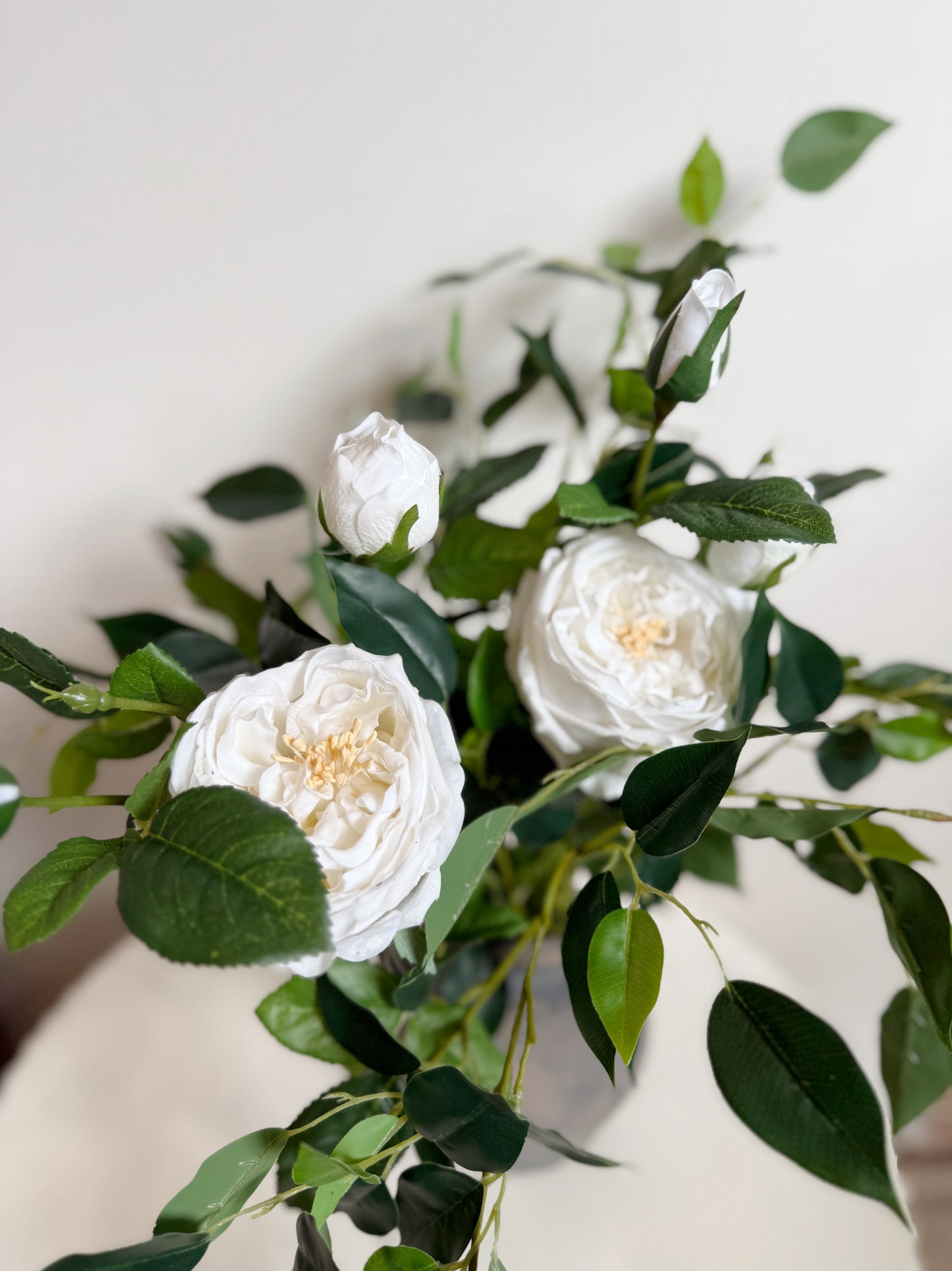 Timeless Rose