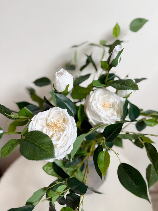 Timeless Rose