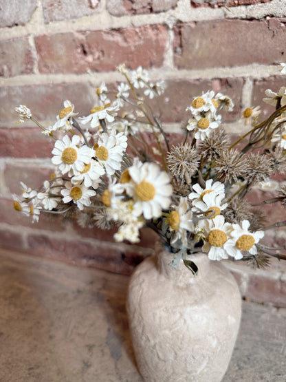 Wild Meadow