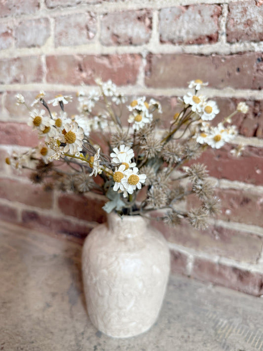 Wild Meadow