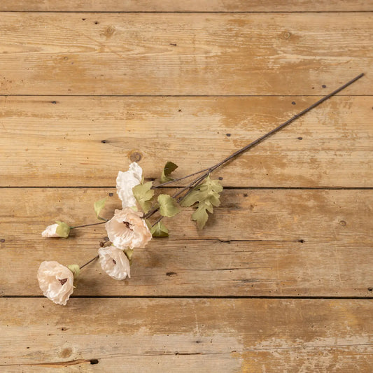 Blush Poppy Stem | Set of 3