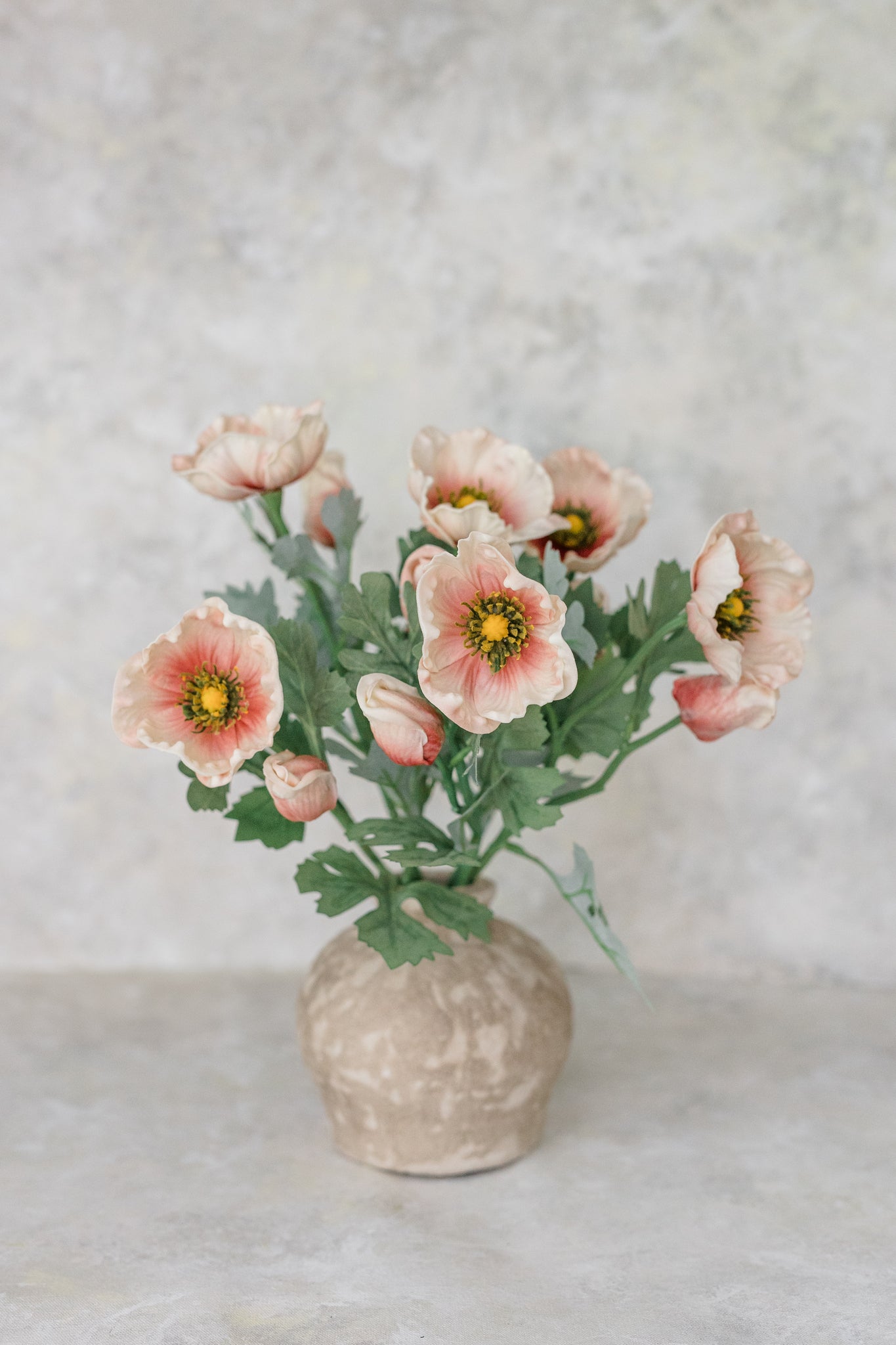 Soft Touch Anemone | Set of 6