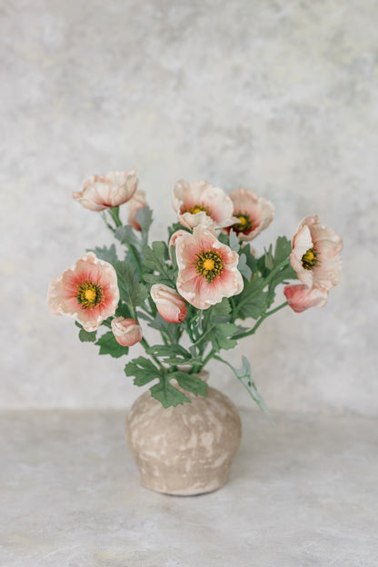 Soft Touch Anemone | Set of 6