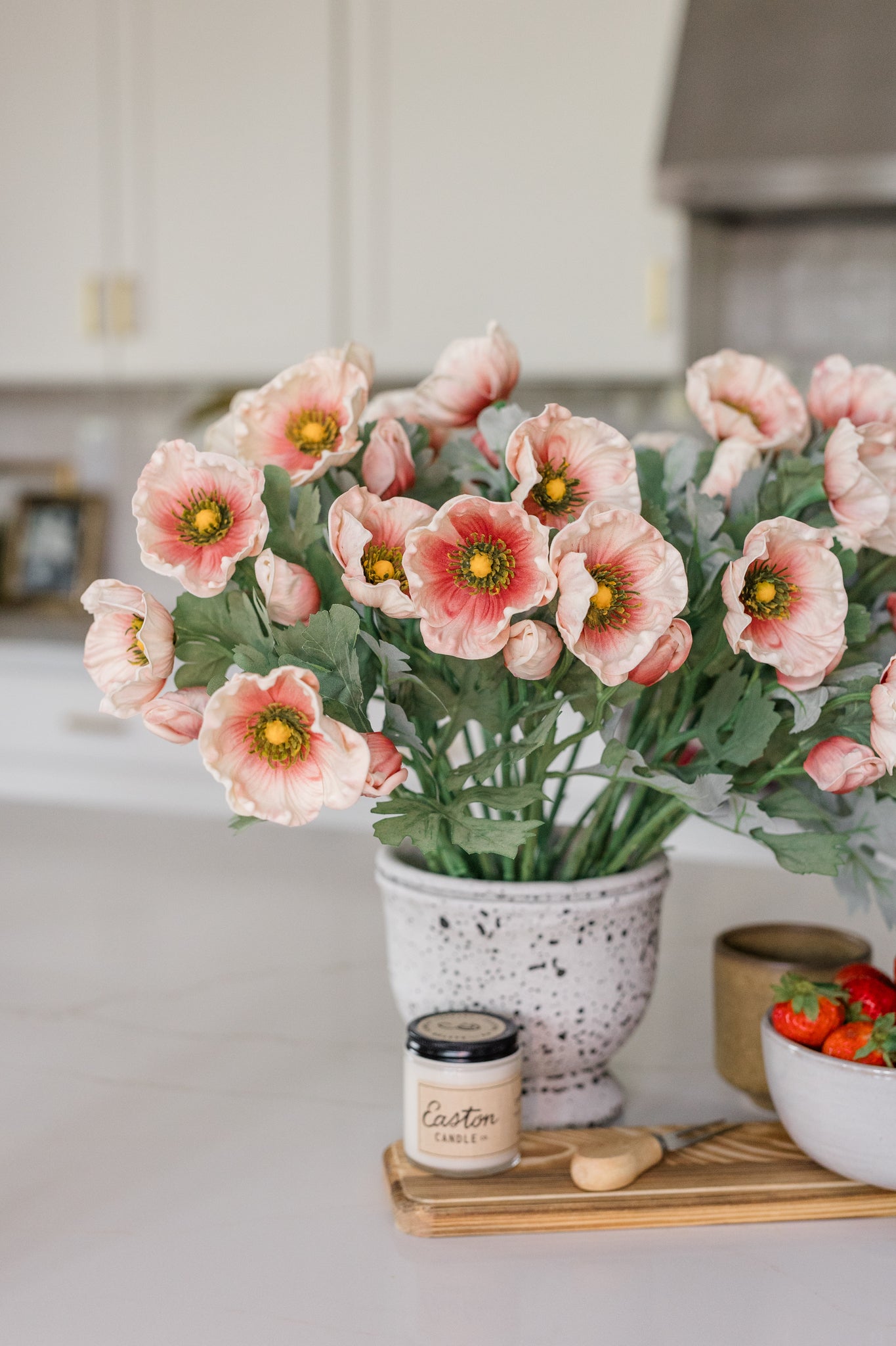 Soft Touch Anemone | Set of 6