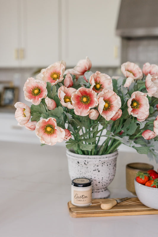 Soft Touch Anemone | Set of 6