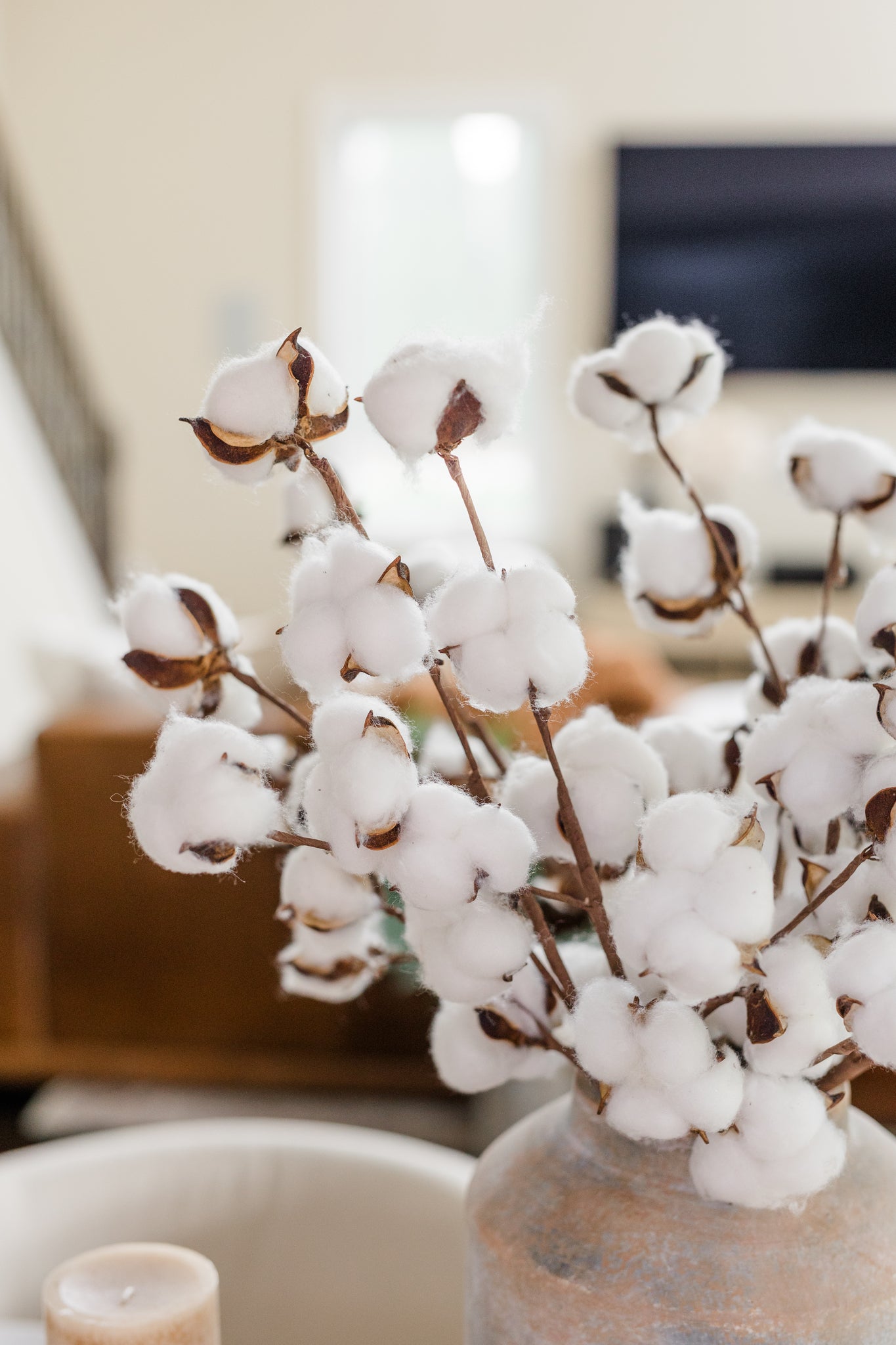 Life-Like Cotton Stems | Set of 3