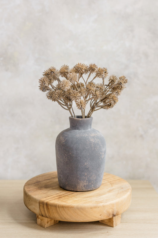 Globe Thistle | Set of 3