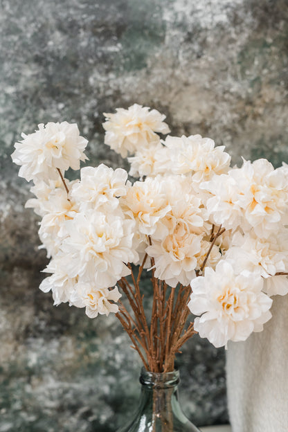 Hibiscus Peony Flowering Stem | Set of 3