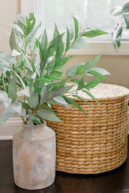 Frosty Eucalyptus Stem | Set of 3