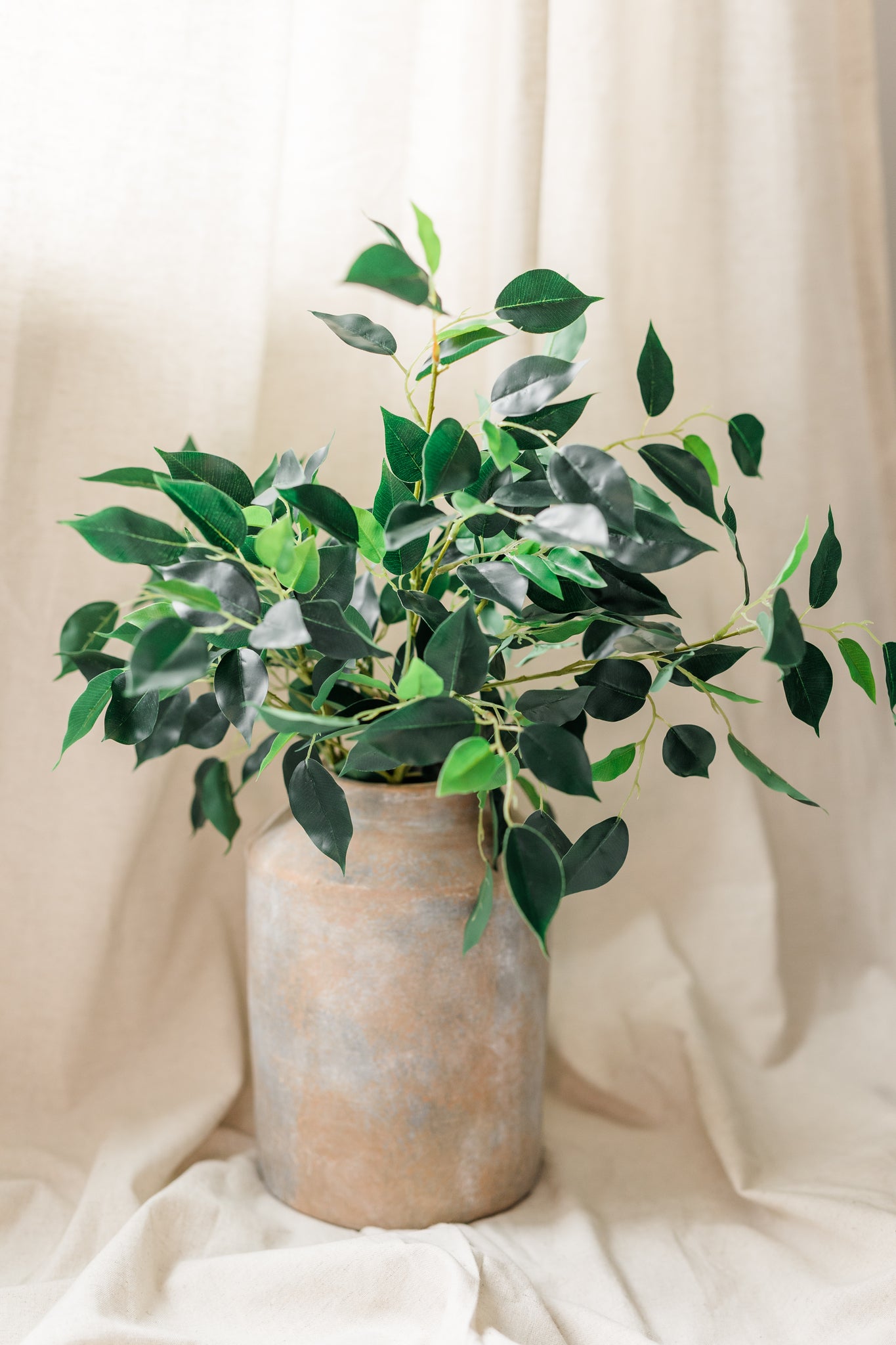 Banyan Leaf Stem | Set of 3