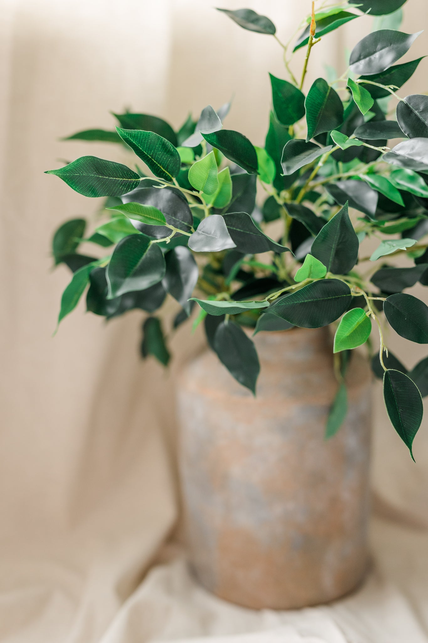 Banyan Leaf Stem | Set of 3
