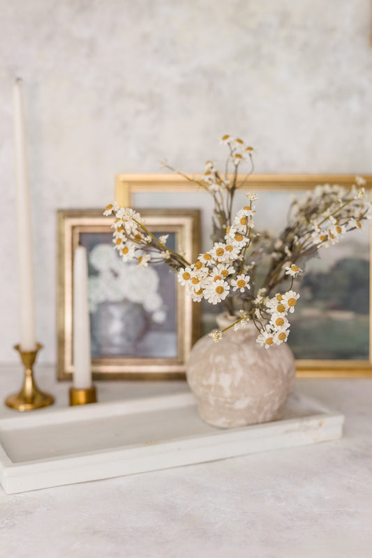 Dried-Look Feverfew | Set of 3