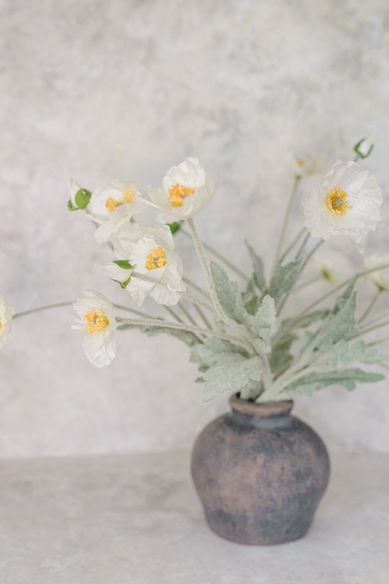 Poppy Whisper | Set of 6