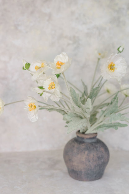 Poppy Whisper | Set of 6