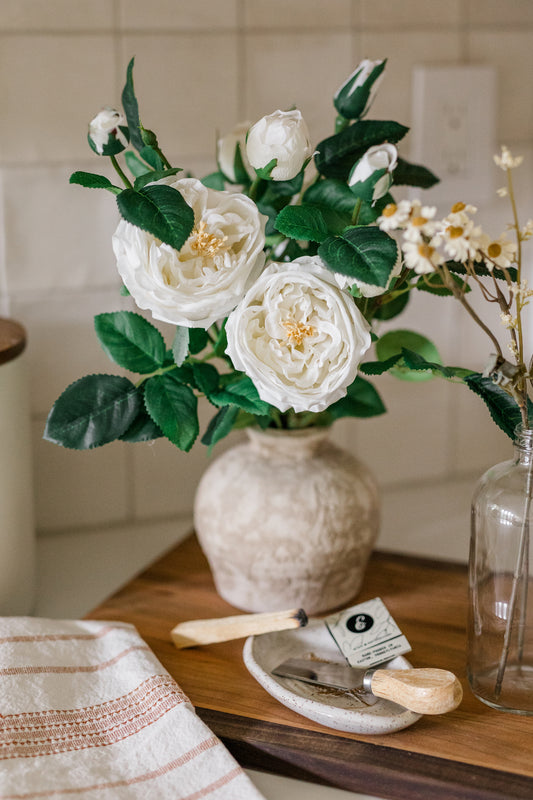 Cabbage Rose | Set of 3