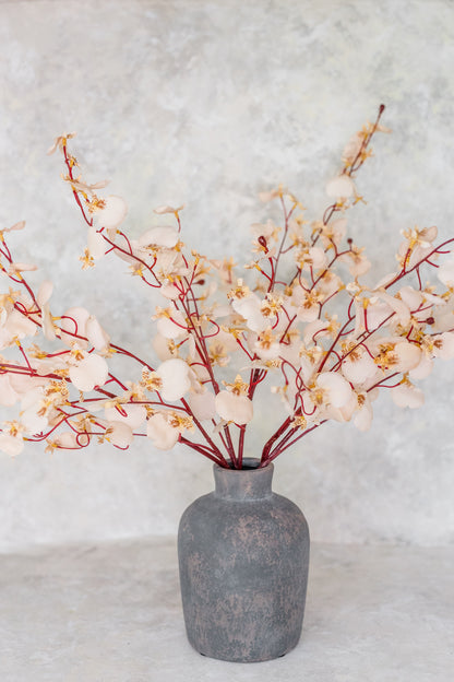 Dancing Orchid | Set of 3