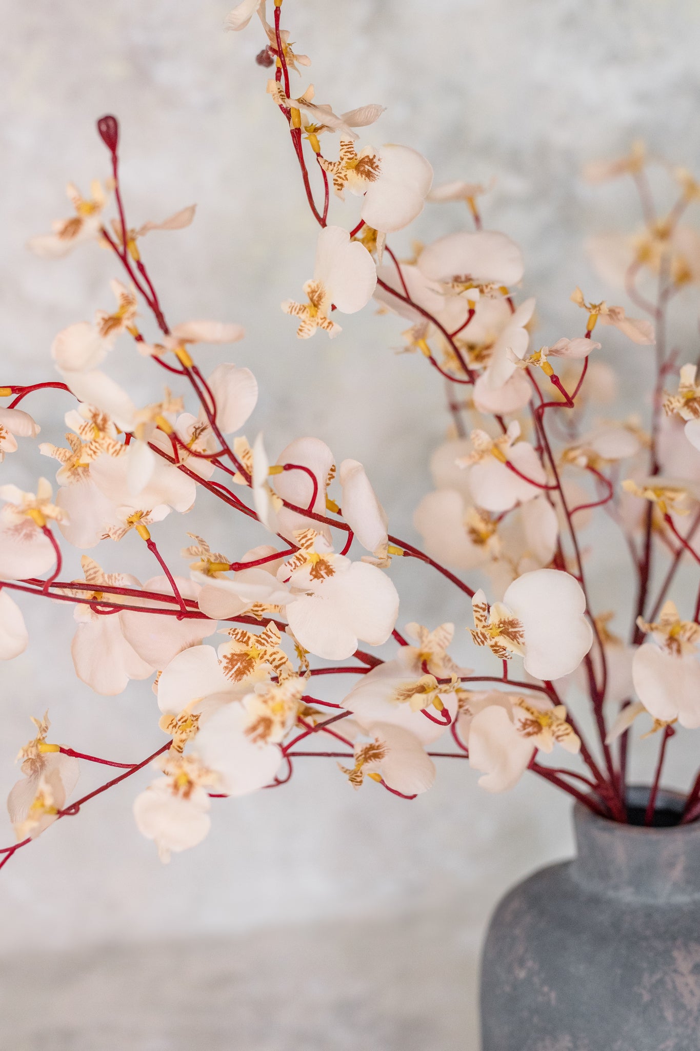 Dancing Orchid | Set of 3