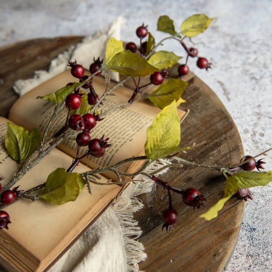 Burgendy Rose Hips Spray | Set of 3 Stems