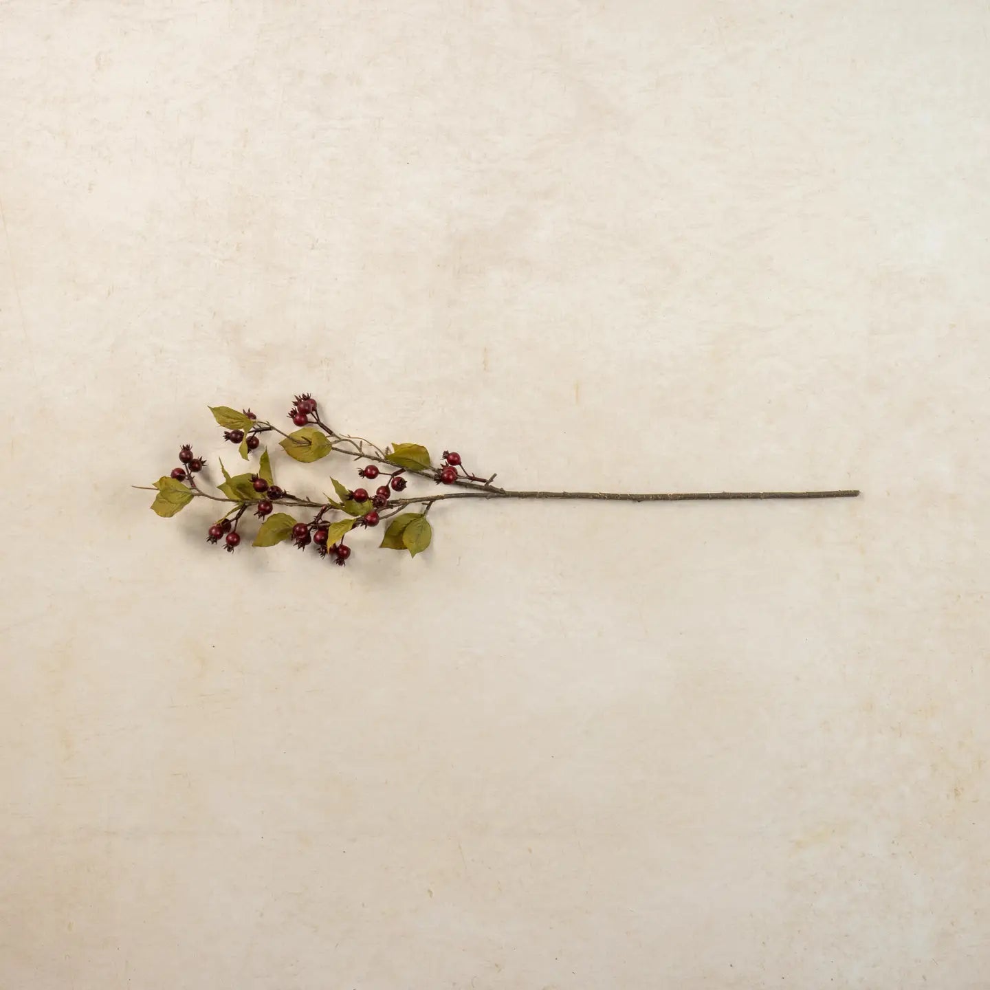 Burgendy Rose Hips Spray | Set of 3 Stems