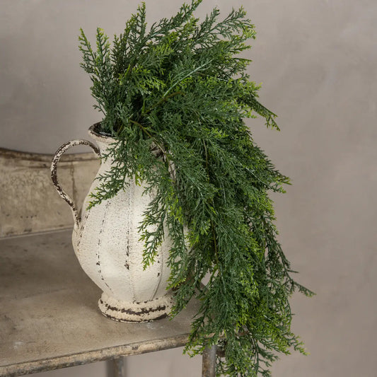 Red Cedar Hanging Bush