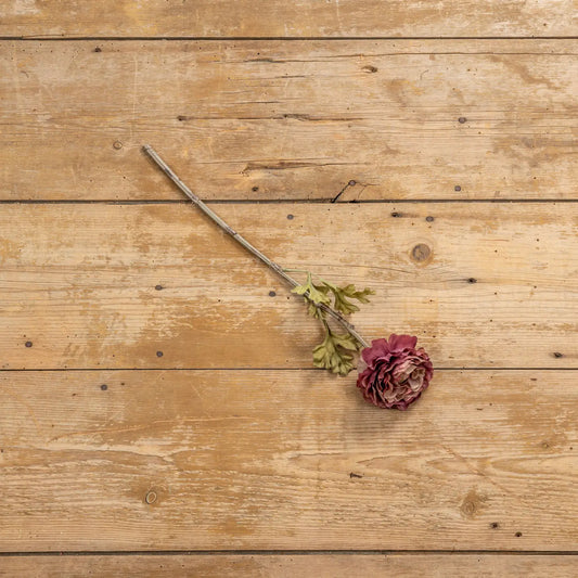Sage Purple Peony | Set of 3 Stems